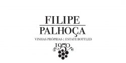 Filipe-Palhoça-Logotipo-e-Estacionário-2-1100x825